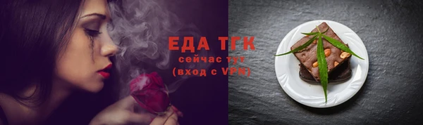 тгк Медногорск